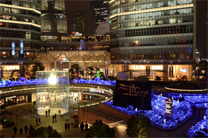 Shanghai's Backyard Garden： a hidden sea of flowers in a fairyland